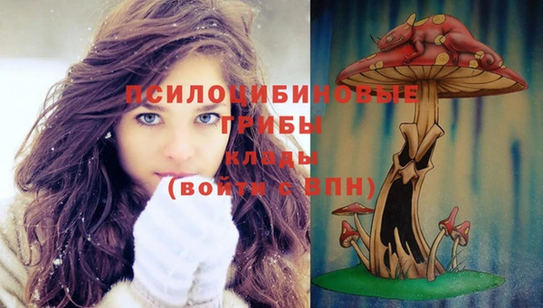 индика Верхнеуральск