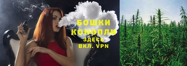 индика Верхнеуральск