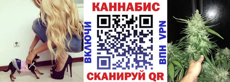 Каннабис AK-47  Купить закладки  Кировград 